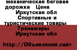 механическая беговая дорожка › Цена ­ 4 000 - Иркутская обл. Спортивные и туристические товары » Тренажеры   . Иркутская обл.